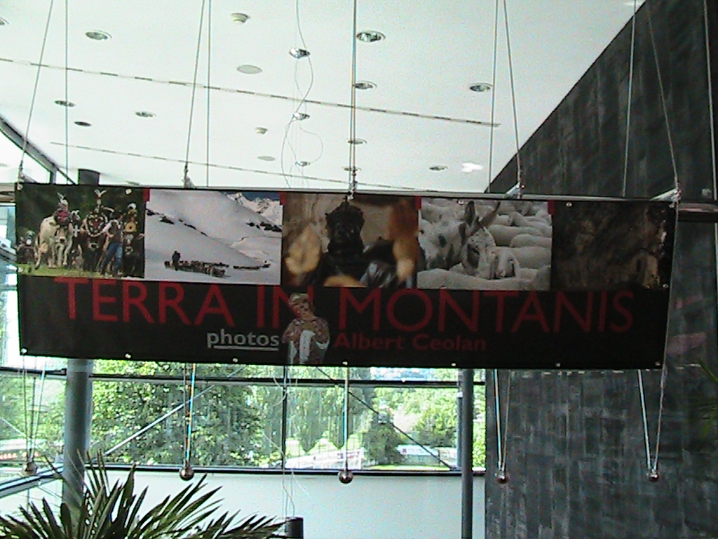Mostra Albert Ceolan 2013