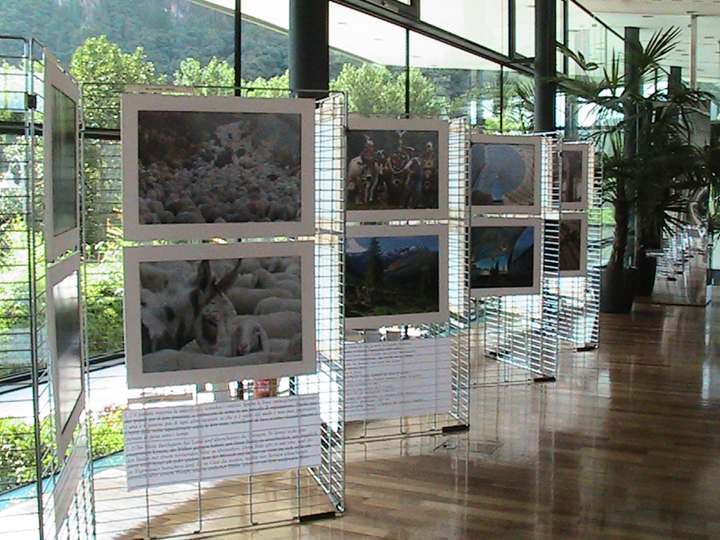 Mostra Albert Ceolan 2013