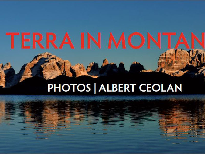 Albert Ceolan 2013