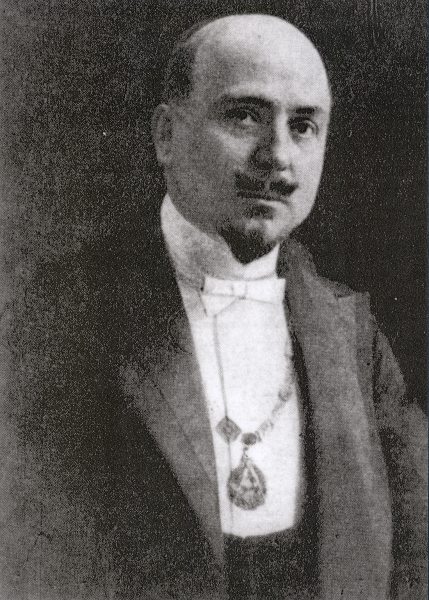 Domizio Torrigiani